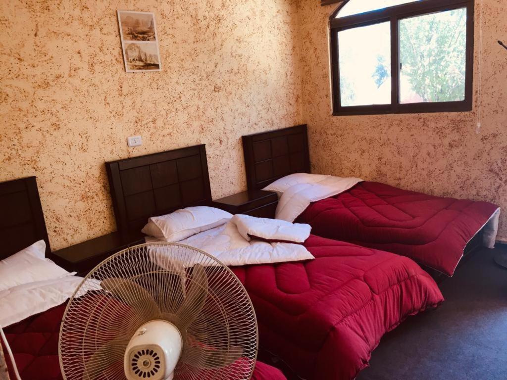 Guest House Attallah Wadi Musa Exterior foto