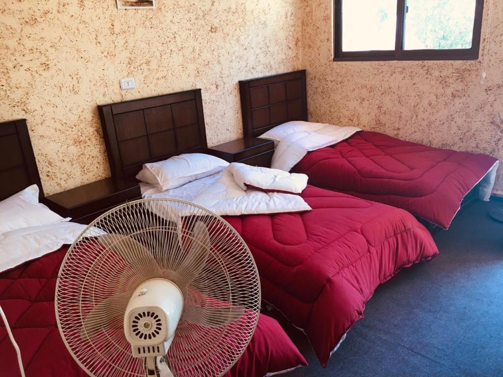 Guest House Attallah Wadi Musa Exterior foto